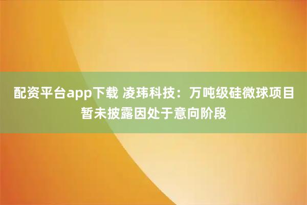 配资平台app下载 凌玮科技:万吨级硅微球项目暂未披露因处于意向阶段